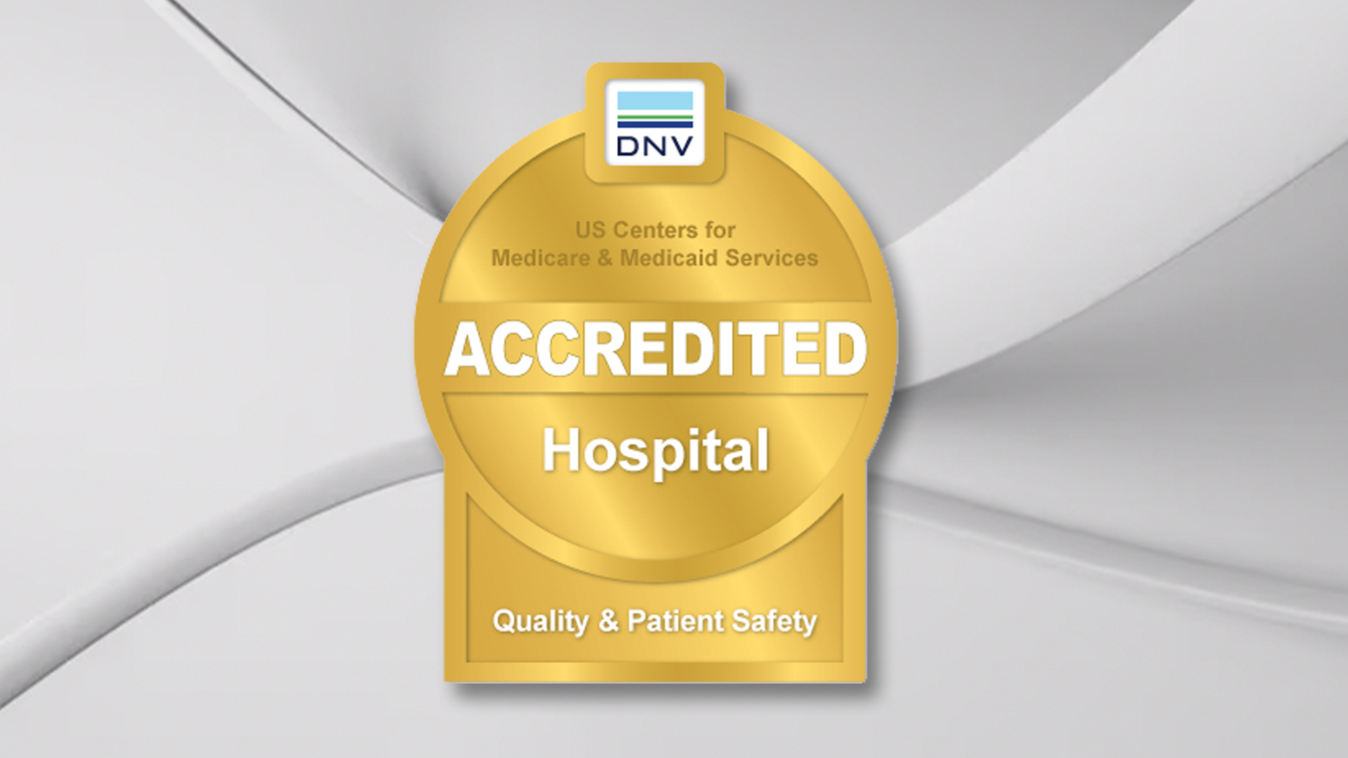 DNV_Web|Barbara Andrew|Brandi-Robertson_DAISY-2-web-main|barbara-cards-final|IMG_2986|IMG_2937|IMG_0003|IMG_0866|Lisa-Delaney ||||||||