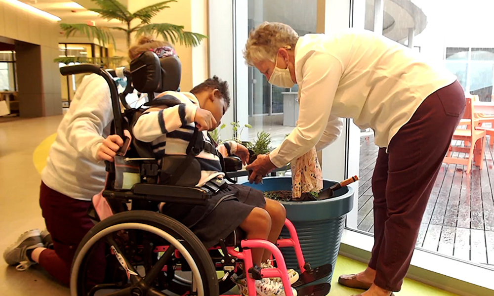 Horticulture Therapy: Top 10 Sensory Plants